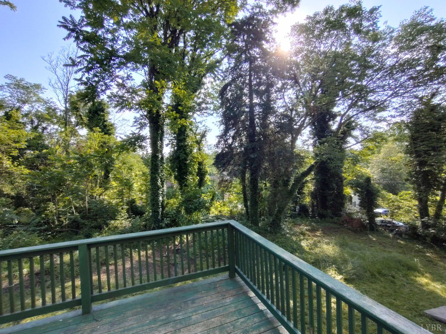 1503 Jackson Street, Lynchburg, Virginia image 29