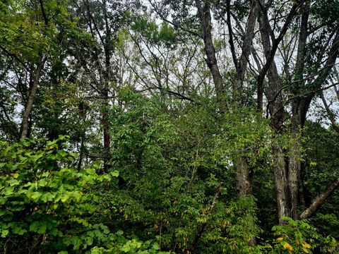 Tiny photo for 0 Wildflower Lane, Dillwyn, VA 23936 (MLS # 362384)