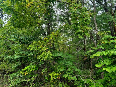 Tiny photo for 0 Wildflower Lane, Dillwyn, VA 23936 (MLS # 362384)
