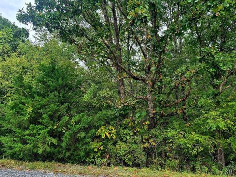 Photo of 0 Wildflower Lane, Dillwyn, VA 23936 (MLS # 362384) Photo of 0 Wildflower Lane, Dillwyn, VA 23936 (MLS # 362384)