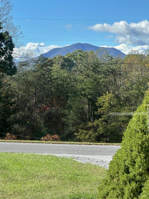 Tiny photo for 2855 Hawkins Ridge Road, Goode, VA 24556 (MLS # 362563)