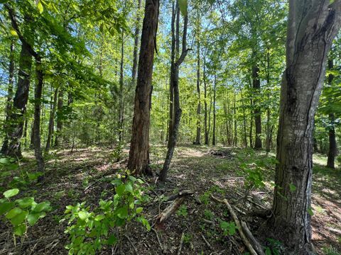 Photo of 0 Discovery Trail, Big Island, VA 24526 (MLS # 366105)