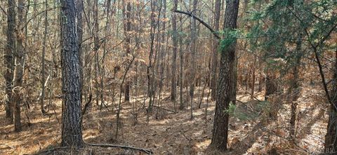 Tiny photo for 0 TN Snow Road, Nathalie, VA 24577 (MLS # 363942)