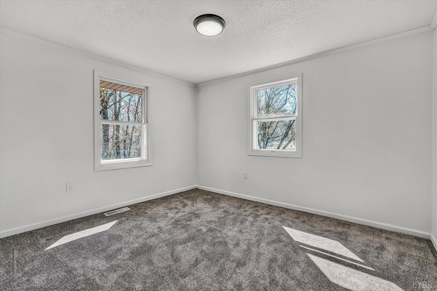 1330 Springfield Drive, Vinton, Virginia image 17