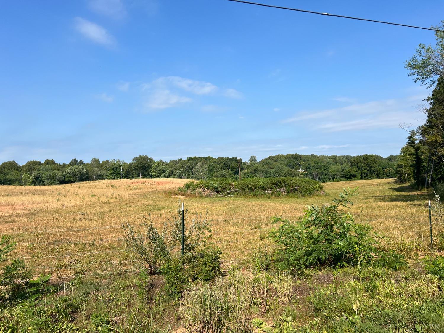 Boxwood Farm, Amherst, Virginia image 1