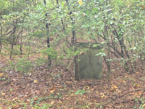 Tiny photo for 421 Morning Star Road, Appomattox, VA 24522 (MLS # 362502)