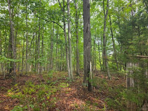 Tiny photo for 421 Morning Star Road, Appomattox, VA 24522 (MLS # 362502)
