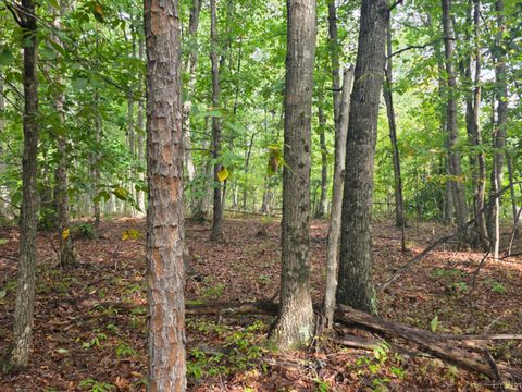 Tiny photo for 421 Morning Star Road, Appomattox, VA 24522 (MLS # 362502)