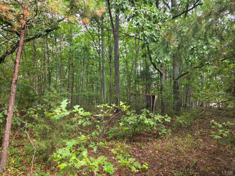 Tiny photo for 421 Morning Star Road, Appomattox, VA 24522 (MLS # 362502)