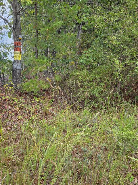 Tiny photo for 421 Morning Star Road, Appomattox, VA 24522 (MLS # 362502)