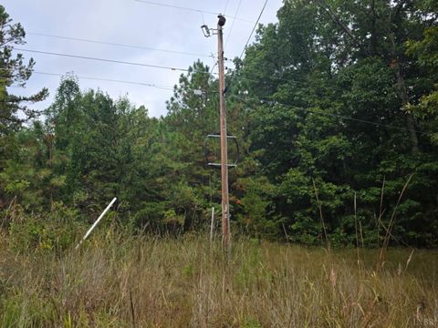 Tiny photo for 421 Morning Star Road, Appomattox, VA 24522 (MLS # 362502)