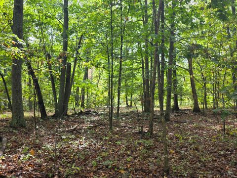 Tiny photo for 421 Morning Star Road, Appomattox, VA 24522 (MLS # 362502)