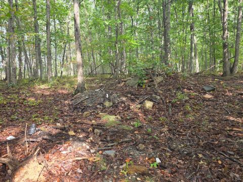 Tiny photo for 421 Morning Star Road, Appomattox, VA 24522 (MLS # 362502)