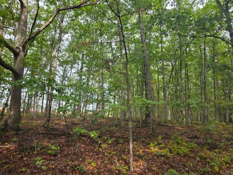 Tiny photo for 421 Morning Star Road, Appomattox, VA 24522 (MLS # 362502)