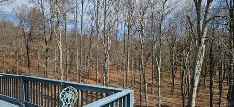 Tiny photo for 103 Glenn Haven Terrace, Goode, VA 24556 (MLS # 364809)