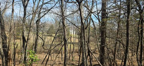 Tiny photo for 103 Glenn Haven Terrace, Goode, VA 24556 (MLS # 364809)