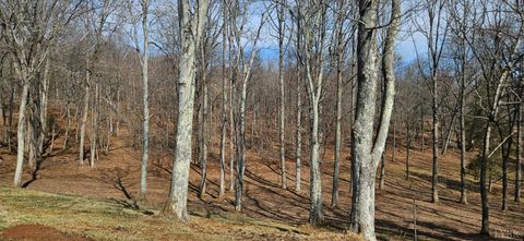 Tiny photo for 103 Glenn Haven Terrace, Goode, VA 24556 (MLS # 364809)