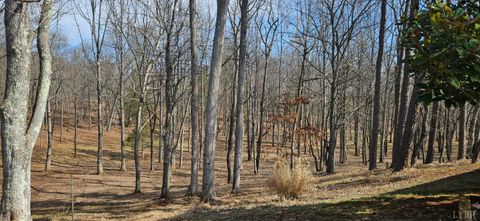 Tiny photo for 103 Glenn Haven Terrace, Goode, VA 24556 (MLS # 364809)