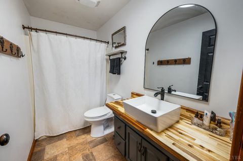 Tiny photo for 2309 Mount Pleasant Rd Rd, Pamplin, VA 23958 (MLS # 365508)