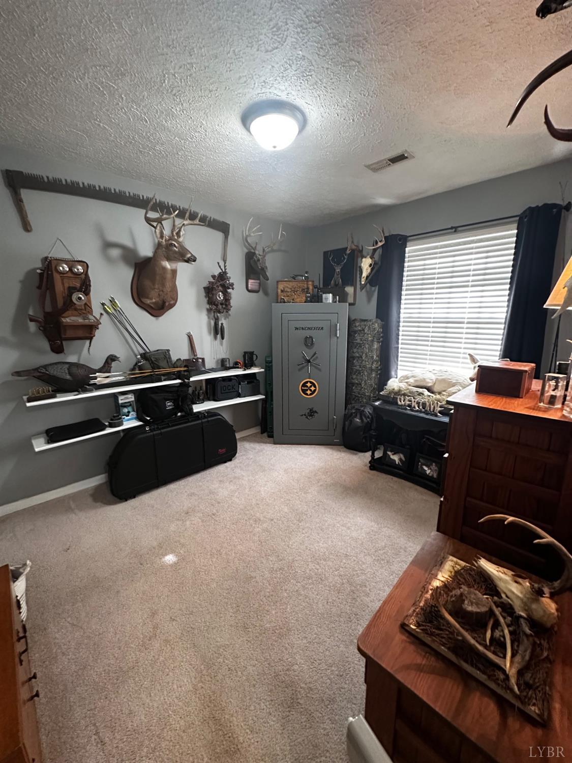 372 Spring Mill Road, Concord, Virginia image 26