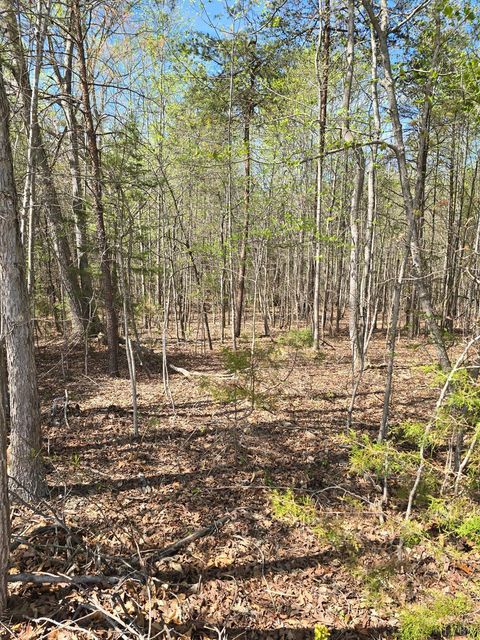 Vacant Land For Sale - Trading Post Road<br/> Huddleston, VA 24104