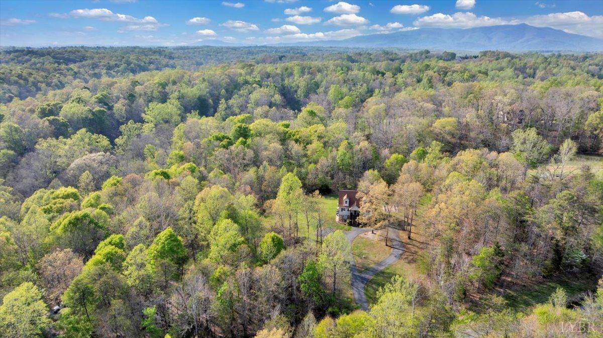 Madison Heights, Virginia 24572, United States, 3 Bedrooms Bedrooms, ,3 BathroomsBathrooms,Residential,Active,4106