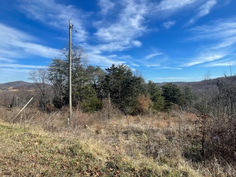 Tiny photo for 0 Taylors Mountain Road, Thaxton, VA 24174 (MLS # 363976)
