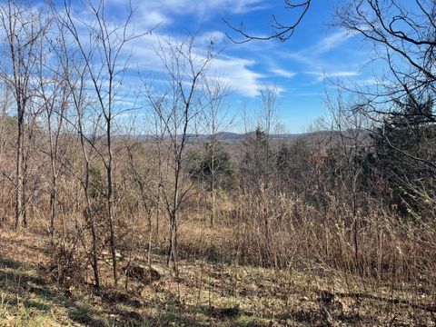 Photo of 0 Taylors Mountain Road, Thaxton, VA 24174 (MLS # 363976)