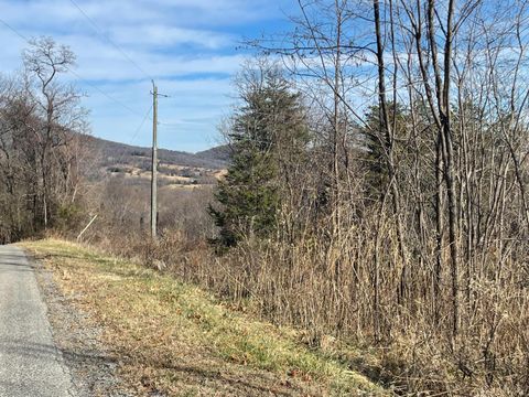 Tiny photo for 0 Taylors Mountain Road, Thaxton, VA 24174 (MLS # 363976)