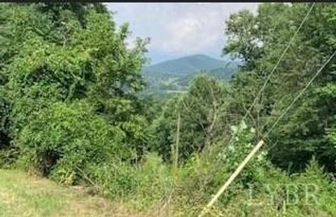 Tiny photo for 0 Taylors Mountain Road, Thaxton, VA 24174 (MLS # 363976)