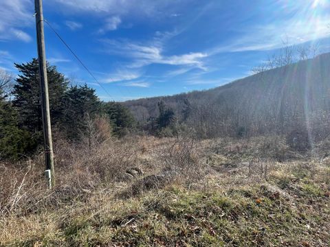 Tiny photo for 0 Taylors Mountain Road, Thaxton, VA 24174 (MLS # 363976)