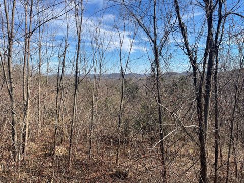 Tiny photo for 0 Taylors Mountain Road, Thaxton, VA 24174 (MLS # 363976)