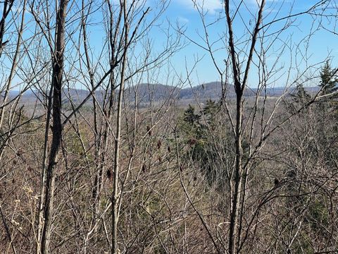 Tiny photo for 0 Taylors Mountain Road, Thaxton, VA 24174 (MLS # 363976)