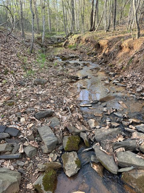 Tiny photo for 0 Old Courthouse Road, Appomattox, VA 24522 (MLS # 365567)