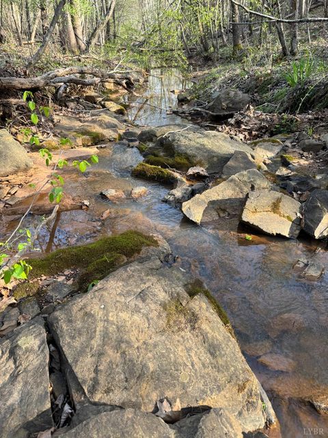 Tiny photo for 0 Old Courthouse Road, Appomattox, VA 24522 (MLS # 365567)