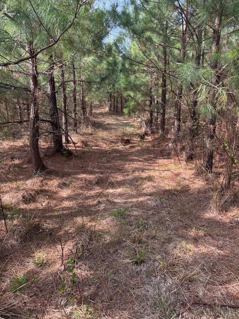 Tiny photo for 0 Old Courthouse Road, Appomattox, VA 24522 (MLS # 365567)