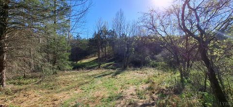 Tiny photo for 0 Old Courthouse Road, Appomattox, VA 24522 (MLS # 365567)
