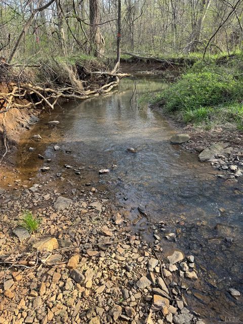 Tiny photo for 0 Old Courthouse Road, Appomattox, VA 24522 (MLS # 365567)
