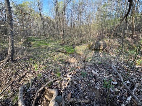 Tiny photo for 0 Old Courthouse Road, Appomattox, VA 24522 (MLS # 365567)