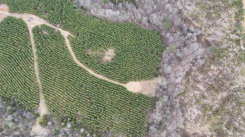 Tiny photo for 0 Old Courthouse Road, Appomattox, VA 24522 (MLS # 365567)