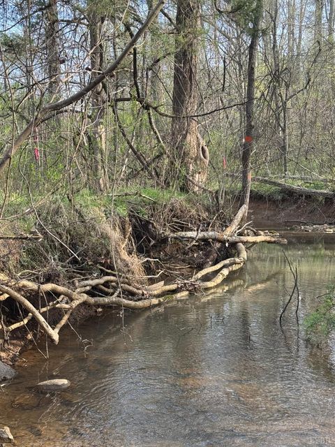 Tiny photo for 0 Old Courthouse Road, Appomattox, VA 24522 (MLS # 365567)