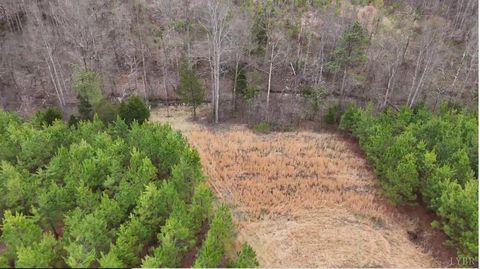 Tiny photo for 0 Old Courthouse Road, Appomattox, VA 24522 (MLS # 365567)