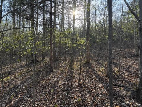 Tiny photo for 0 Old Courthouse Road, Appomattox, VA 24522 (MLS # 365567)