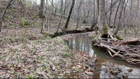 Tiny photo for 0 Old Courthouse Road, Appomattox, VA 24522 (MLS # 365567)