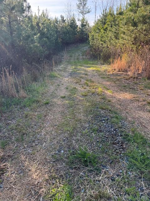 Tiny photo for 0 Old Courthouse Road, Appomattox, VA 24522 (MLS # 365567)