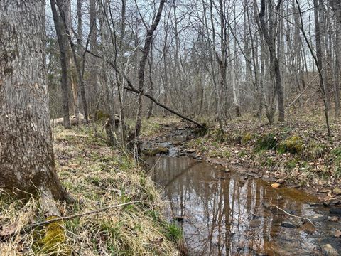 Tiny photo for 0 Old Courthouse Road, Appomattox, VA 24522 (MLS # 365567)
