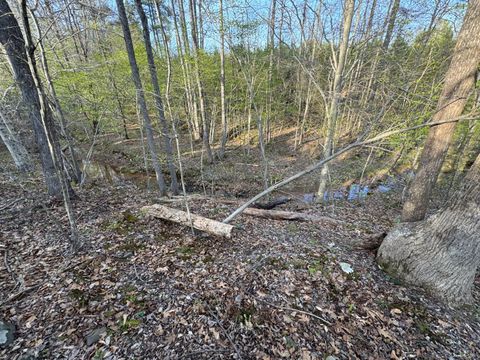 Tiny photo for 0 Old Courthouse Road, Appomattox, VA 24522 (MLS # 365567)