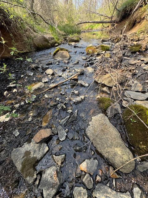 Tiny photo for 0 Old Courthouse Road, Appomattox, VA 24522 (MLS # 365567)