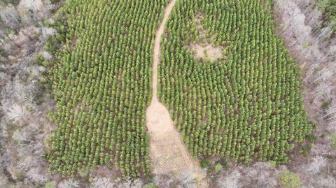 Tiny photo for 0 Old Courthouse Road, Appomattox, VA 24522 (MLS # 365567)