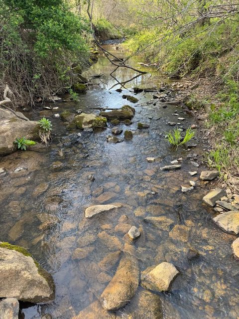 Tiny photo for 0 Old Courthouse Road, Appomattox, VA 24522 (MLS # 365567)